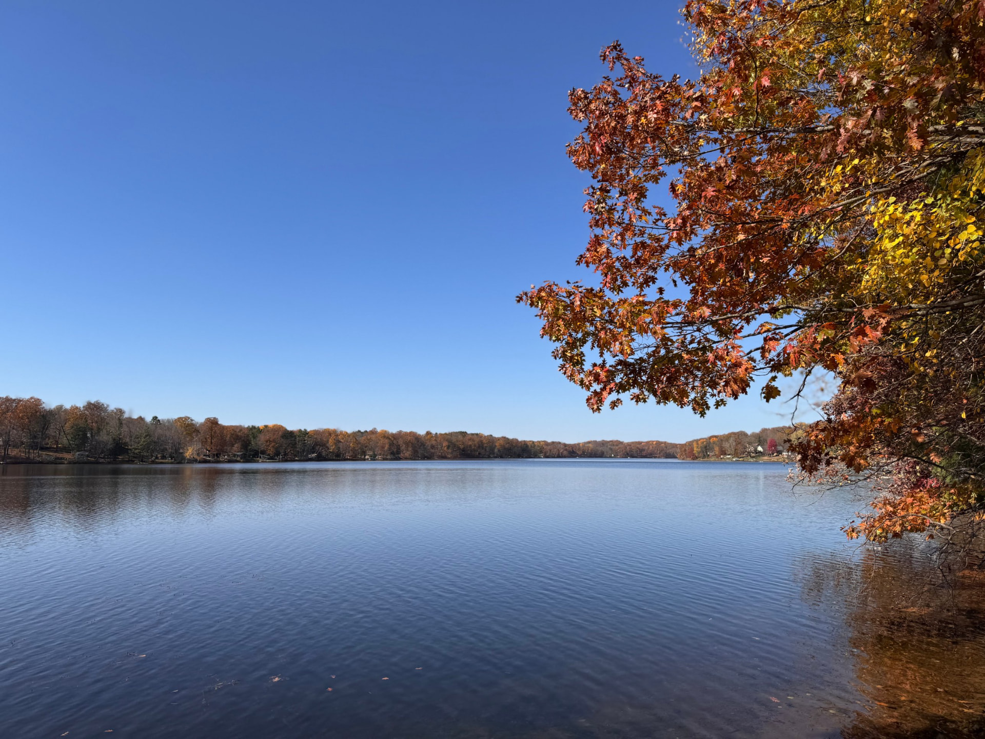 Sand Lake in Cumberland, Wisconsin in fall, with red and gold oak leaves over the water and a wooded shoreline of lake homes